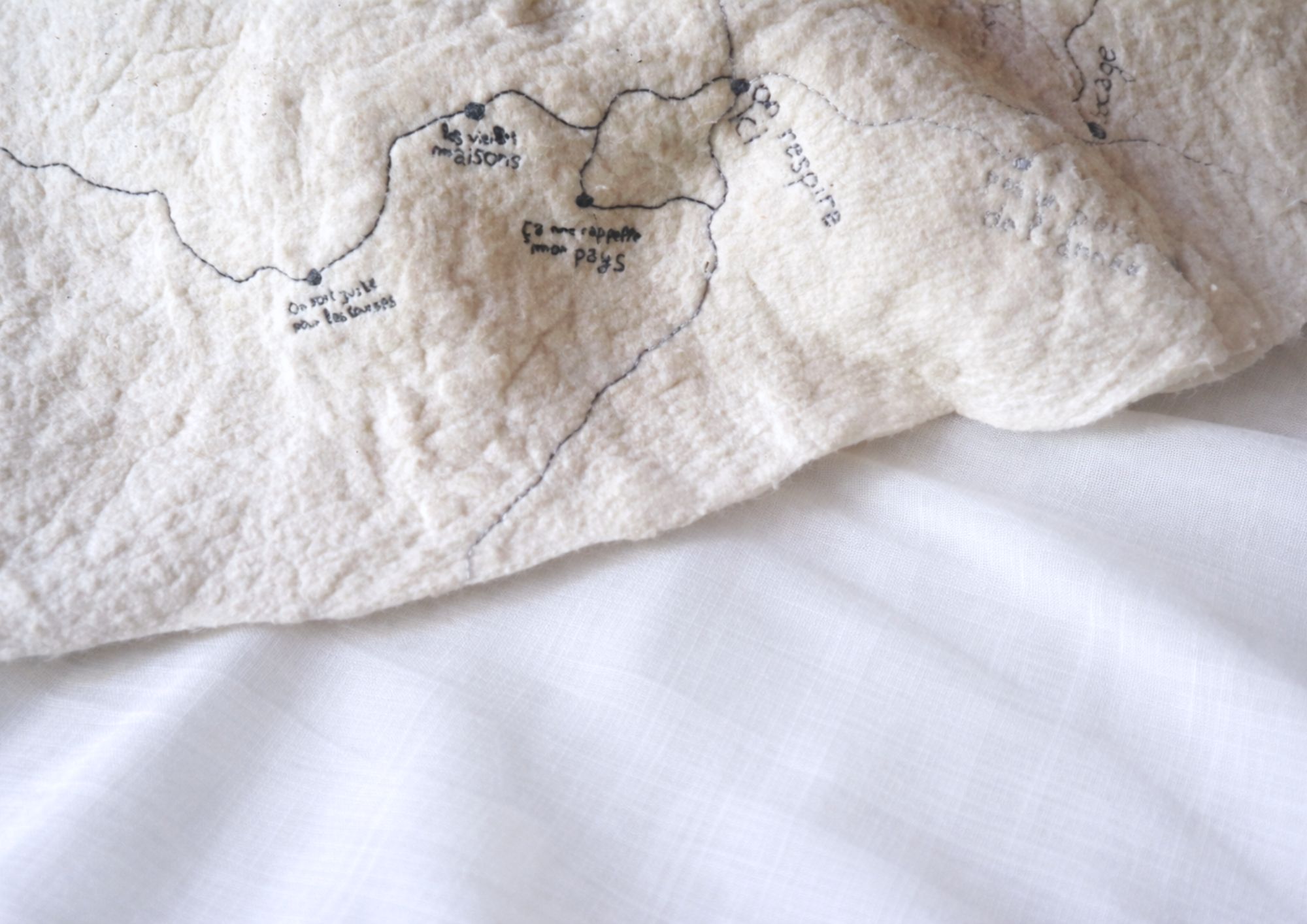 carte%20parl%C3%A9e%20du%20territoire%203